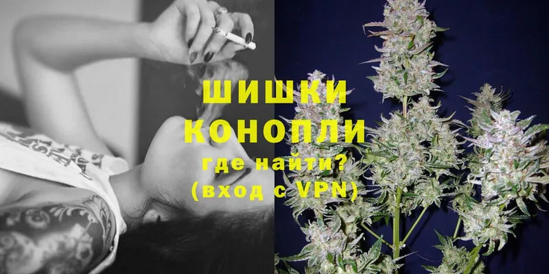 Бошки марихуана OG Kush  где найти наркотики  Новодвинск 